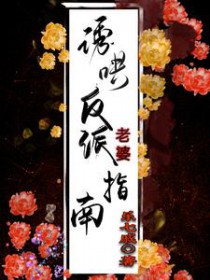 诱哄反派老婆指南 诱哄反派老婆指南