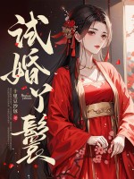 试婚丫鬟 试婚丫鬟