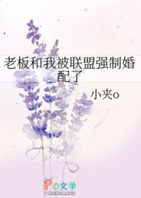 老板和我被联盟强制婚配了 老板和我被联盟强制婚配了