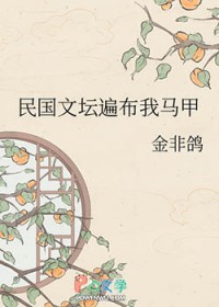 民国文坛遍布我马甲 民国文坛遍布我马甲