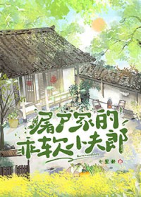 屠户家的乖软小夫郎 屠户家的乖软小夫郎