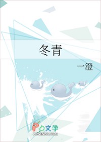 冬青 冬青