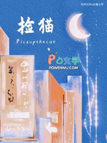 捡猫 捡猫