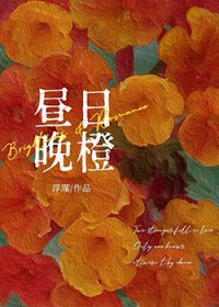 昼日晚橙 昼日晚橙