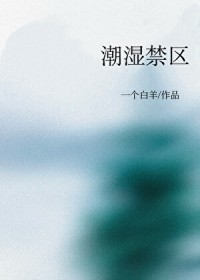 潮湿禁区 潮湿禁区