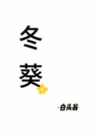 冬葵 冬葵