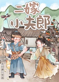 二嫁小夫郎 二嫁小夫郎