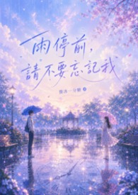雨停前,请不要忘记我 雨停前,请不要忘记我
