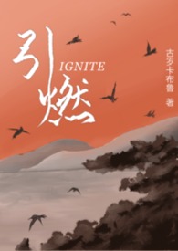 引燃(1v1 年下) 引燃(1v1 年下)