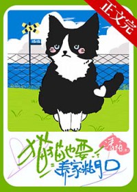 猫猫也要养家糊口 猫猫也要养家糊口