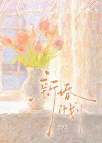 新婚计划 新婚计划
