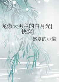 �����������İ��¹�[�촩]
