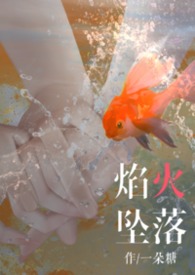 焰火坠落(2v2) 焰火坠落(2v2)