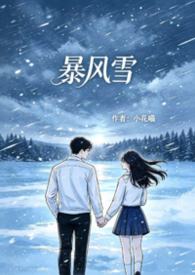 暴风雪 暴风雪