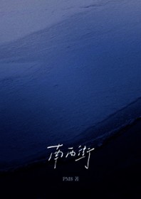 南西街 南西街