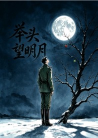 举头望明月 举头望明月
