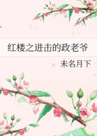 红楼之进击的政老爷 红楼之进击的政老爷
