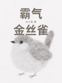 霸气金丝雀 霸气金丝雀