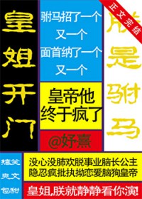 皇姐开门,朕是驸马 皇姐开门,朕是驸马