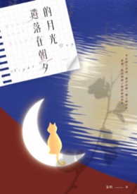遗落在朝夕的月光 遗落在朝夕的月光