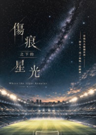 伤痕之下的星光—天才前锋的坠落 伤痕之下的星光—天才前锋的坠落