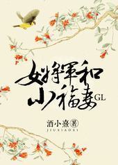 女将军和小福妻 女将军和小福妻