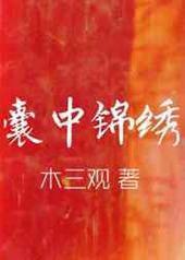 囊中锦绣 囊中锦绣