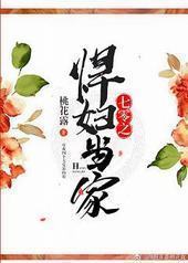 七零之悍妇当家 七零之悍妇当家