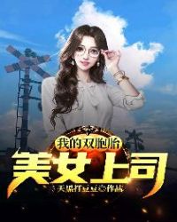 我的双胞胎美女上司 我的双胞胎美女上司