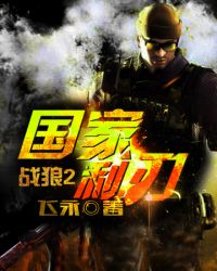 战狼2之国家利刃 战狼2之国家利刃