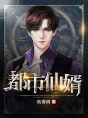 都市仙婿 都市仙婿