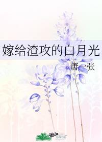 嫁给渣攻的白月光 嫁给渣攻的白月光