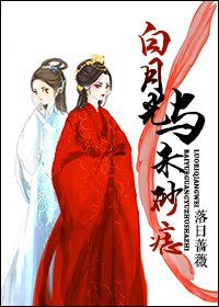 白月光与朱砂痣(穿越) 白月光与朱砂痣(穿越)