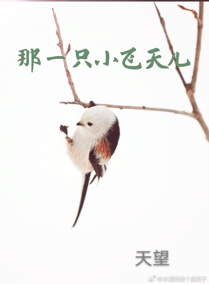 那一只小飞天儿 那一只小飞天儿