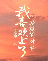 我喜欢上了爱豆的对家 我喜欢上了爱豆的对家