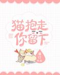猫抱走,你留下 猫抱走,你留下