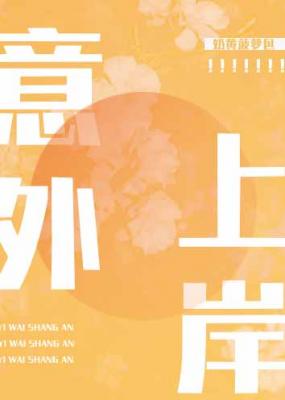 意外上岸 意外上岸