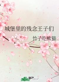 城堡里的残念王子们 城堡里的残念王子们