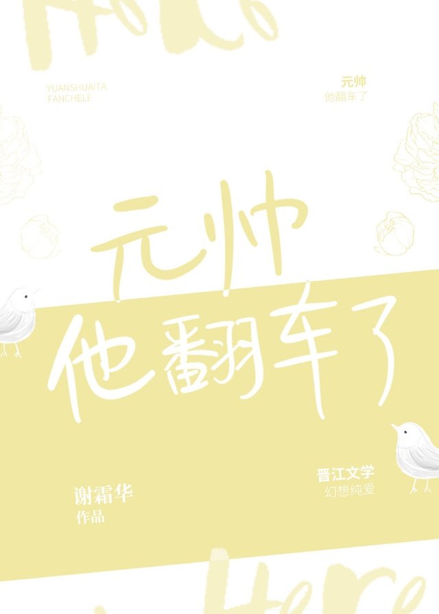 元帅他翻车了 元帅他翻车了