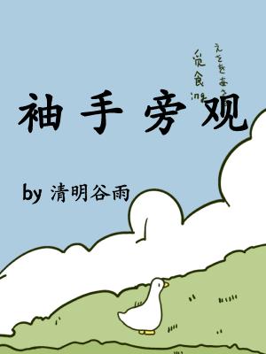 袖手旁观 袖手旁观