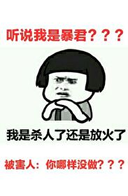 重生后我成了暴君 重生后我成了暴君