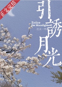 引诱月光 引诱月光