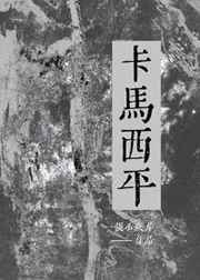 卡马西平 卡马西平