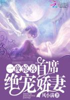 一夜惊喜:首席绝宠娇妻 一夜惊喜:首席绝宠娇妻