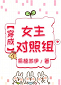 穿成女主对照组 穿成女主对照组