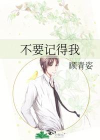 不要记得我 不要记得我