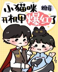 小猫咪开机甲爆红了 小猫咪开机甲爆红了