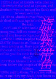 旖旎热带鱼 旖旎热带鱼