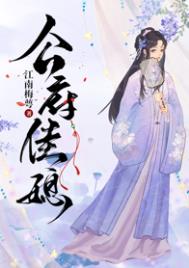公府佳媳 公府佳媳