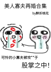 美人寡夫再婚合集 美人寡夫再婚合集